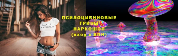 крисы Абдулино