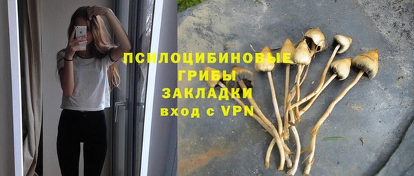 крисы Абдулино