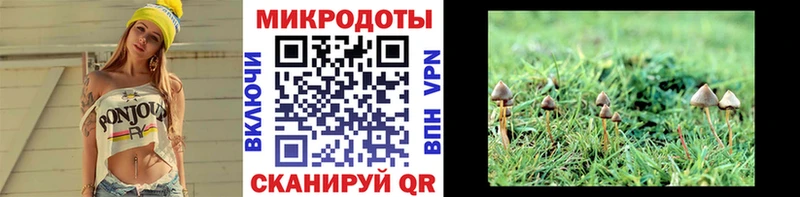 kraken как зайти  Королёв  Галлюциногенные грибы мицелий 