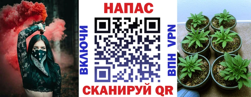 omg онион  Королёв  Каннабис SATIVA & INDICA  купить наркотики сайты 
